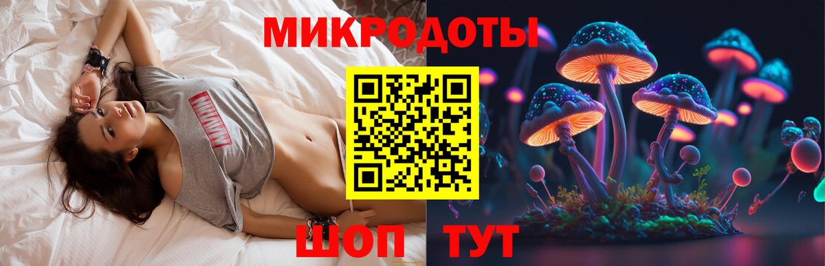 Ставрополь  Галлюциногенные грибы Cubensis  Вход с VPN  цена наркотик  Псилоцибиновые грибы ЛСД 